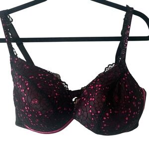Cacique Women's Black and Fuchsia Lace‎ Bra in Size 42 D